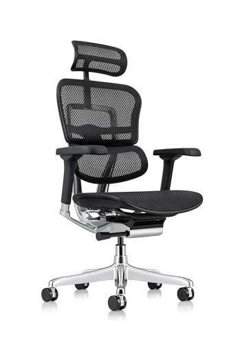 Ergohuman High Back Swivel Chair