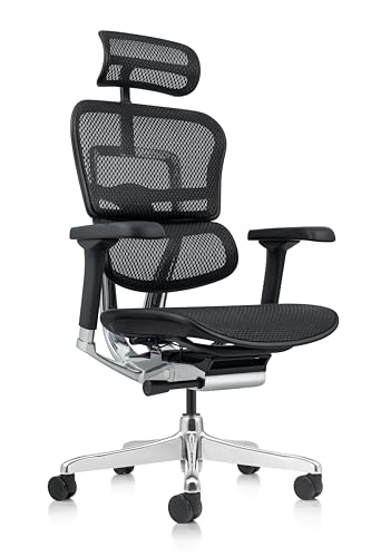 Ergohuman High Back Swivel Chair