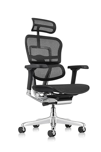 Ergohuman High Back Swivel Chair