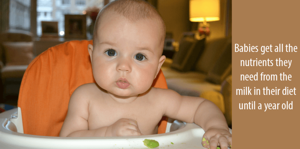 Baby Led Weaning Tips
