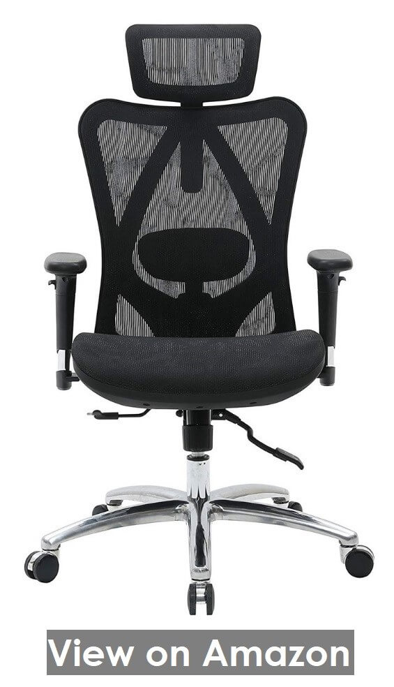 Sihoo Ergonomic Office Chair