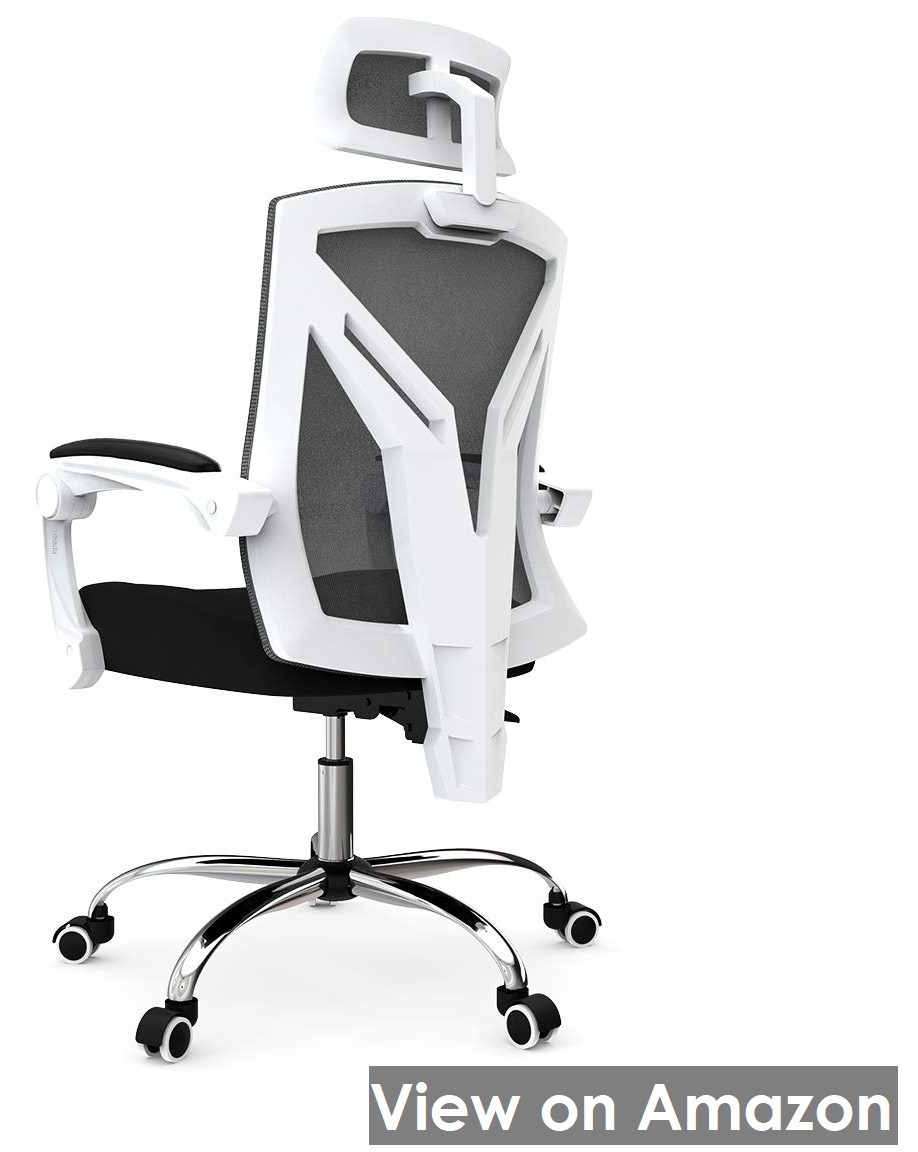 Hbada Ergonomic Office Chair